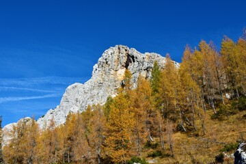 Peak of Mala Tičarica mountain above Triglav lakes valley in Julian alps and Triglav national park, Gorenjska, Slovenia with golden colored larch trees in autumn