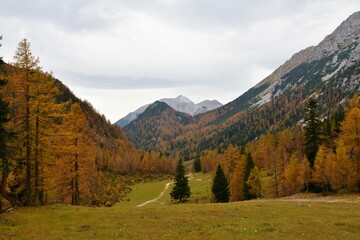 Alpine valley at Zelenica in Karavanke mountains, Gorenjska, Slovenia with Stol mountain behind...