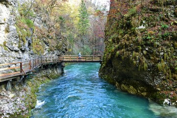 Vintgar gorge near Bled in Gorenjska, Slovena with a wooden bridge and a walkway and the foliage in yellow and red autumn colors