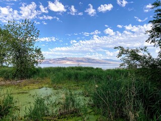 Shore of Utah Lake from the Utah Lake Trail