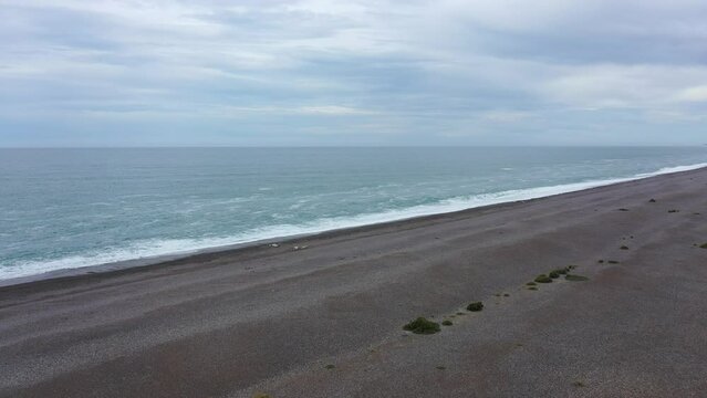 Encuentro con animales roposantes, lobos marinos, playa