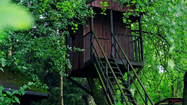 Wooden Treehouse Build for Kids in Garden