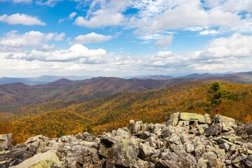 Naklejka premium Shenandoah National Park. Blue Ridge Mountains in the Commonwealth of Virginia