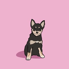 Cartoon inspired pet portrait illustration hand drawn mixed breed Siberian husky puppy dog on solid pink background