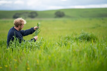 studying soil biology and soil life on a farm