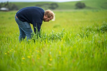 soil scientist agronomist farmer looking at pasture and grass in a field in spring. looking at...