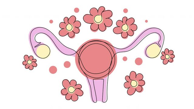 Self-drawing of a woman's Uterus with flowers in a single line on a white screen. The concept of health of the reproductive organs of a woman. 4K stock medical ovarian animation with alpha channel.