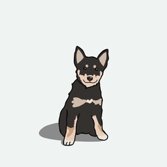 Cartoon inspired pet portrait illustration hand drawn mixed breed Siberian husky puppy dog on solid white neutral background
