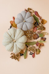 Obraz na płótnie Canvas Autumn leaves and knit handmade pumpkin