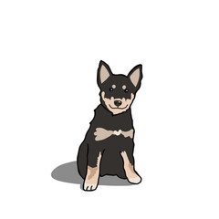Cartoon inspired pet portrait illustration hand drawn mixed breed Siberian husky puppy dog vector element design