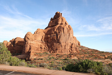 Fototapeta premium park