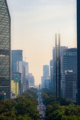 Avenue Paseo de la Reforma and Angel of Independence in Mexico
