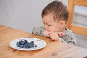cute toddler eating blueberries