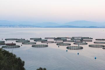 View of sea fish farm cages and fishing nets, farming dorado, sea bream and sea bass, process of...