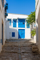 Fototapeta na wymiar Quiet street with white houses and blue doors ands windows in Sidi Bou Said village near Carthage and Tunis, Tunisia