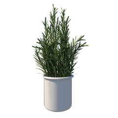 Front view of Plant (Potted Vase with Indoor Plant 8) Tree png