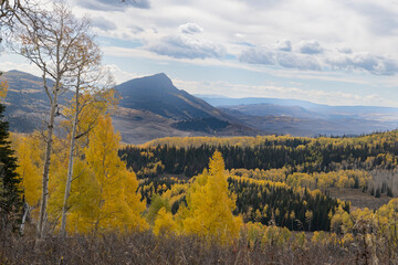 Mt. Whitely and Fall Aspen Colors, Rocky Mountains