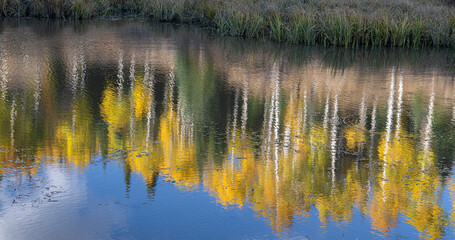 Fall Color Reflection with Aspens, Rocky Mountains