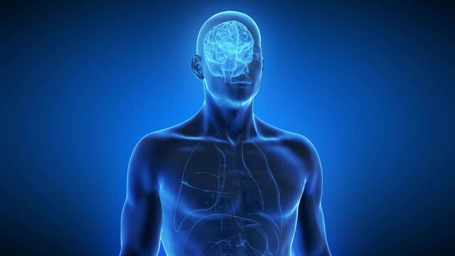 3d rendered medical animation of a degenerating brain