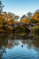 Fototapeta na wymiar Autumn in Central Park, New York.