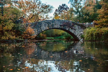 Fototapeta na wymiar Autumn in Central Park, New York.