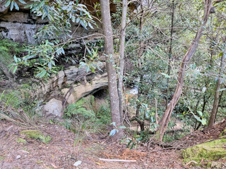 Rock Overhang on the Prince Henry Cliff Track in the Blue Mountains of New south Wales. Surrounded by Australian bush and ferns