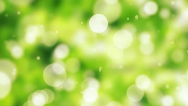 Green summer nature background. Flying particles. 4K
