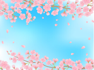 Obraz na płótnie Canvas 青空と満開の桜_フレーム背景_ベクターイラスト