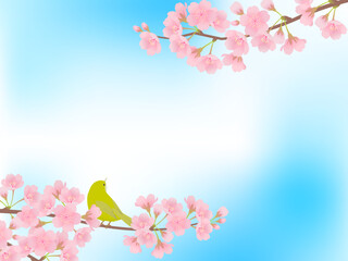 青空に咲く満開の桜とメジロ_フレーム背景_ベクターイラスト