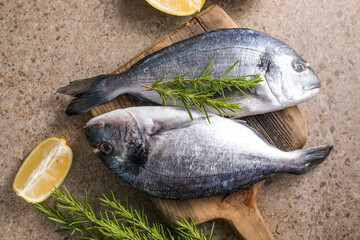 Fresh fish dorado and ingredients for cooking with spices and herbs on gray concrete table....