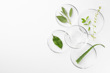 Petri dishes with different plants and cosmetic product on white background, top view. Space for...