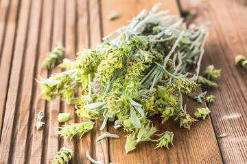 Bunch of dried green ironwort (Sideritis) twigs, also known as Mountain tea - traditional herbal tea in Greece