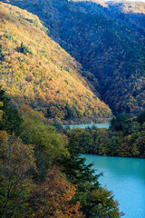 秋の夕暮れに西日が紅葉した山の斜面を照らしています