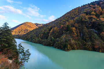独特なエメラルドグリーンの色をしたダム湖にも秋が来ました