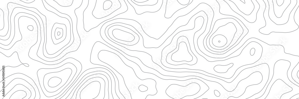 Poster vector seamless background, subtle pattern. topographic map background concept