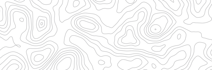 Keuken spatwand met foto Vector seamless background, subtle pattern. topographic map background concept © Creative