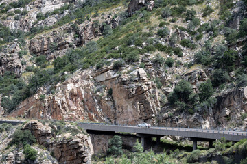 Fototapeta na wymiar The Mount Lemmon Highway in the Catalina Mountains 