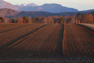 arable land in late autumn