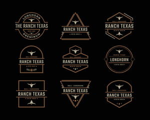 Obraz premium Vintage Retro Badge Emblem Texas Longhorn, Country Western Bull Cattle Logo Design Linear Style