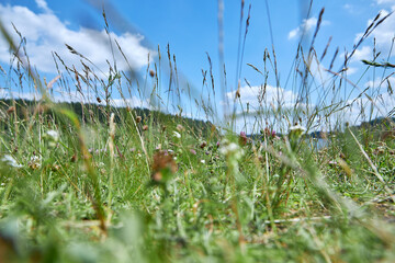 A summer landscape with a river and a blue sky. Outdoor recreation