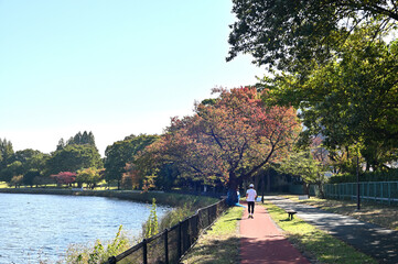 久喜市菖蒲公園