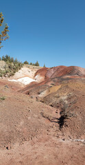 Morning sunlight hits the painted hills in eastern Oregon. 