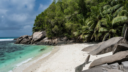 A secluded beach on a tropical island. Boulders on the sand. Thickets of palms and tropical trees...
