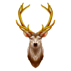Standing deer head painting for Christmas.