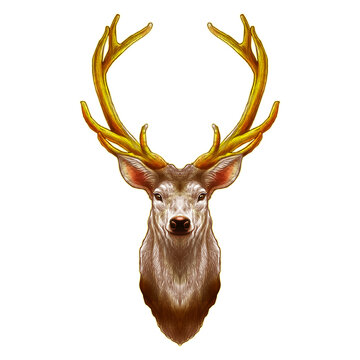 Standing deer head painting for Christmas.