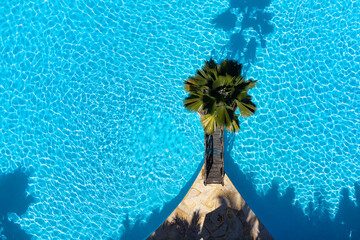 Swimming pool drone shot with palm tree