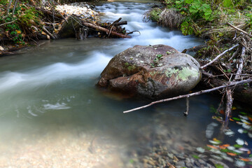 stream in the forest