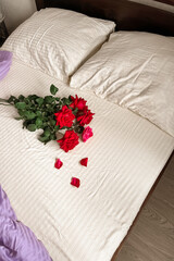 A bouquet of scarlet roses and petals lie on the light satin bed linen, a minimalist greeting card with a good morning with a copy place