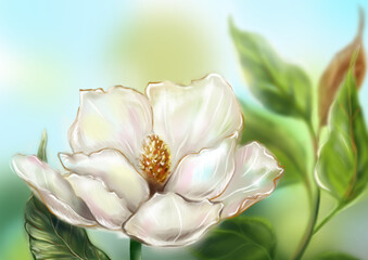 Beautiful pearly white ivory Magnolia flower leaf branch plant tree bush computer graphic digital watercolor art