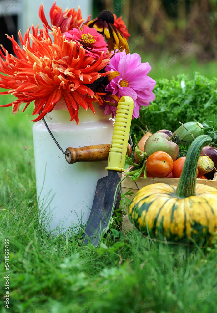 Wall mural autumn arrangement in the garden